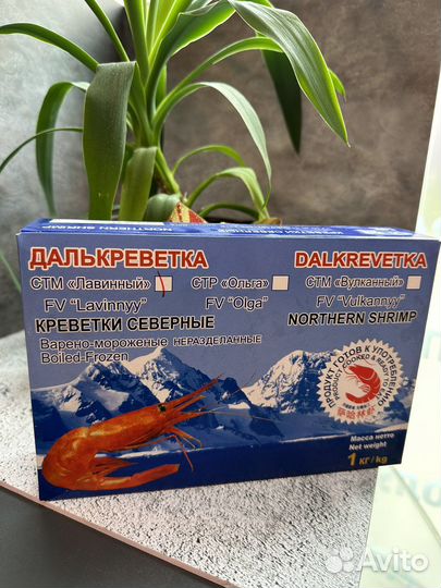 Креветка северная
