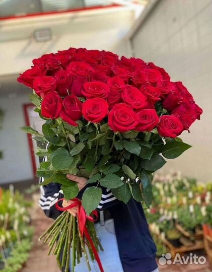 Длинные высокие розы 110 150 160 180 200 см