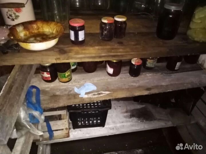 Овощная яма