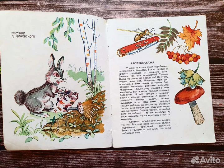 Туесок. Рассказы, сказки , стихи 1975 г