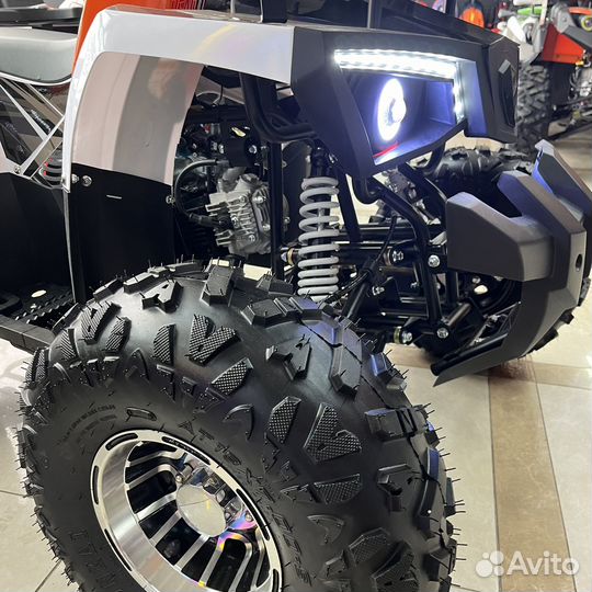 Квадроцикл motorhead hammer LUX 125 new 2024