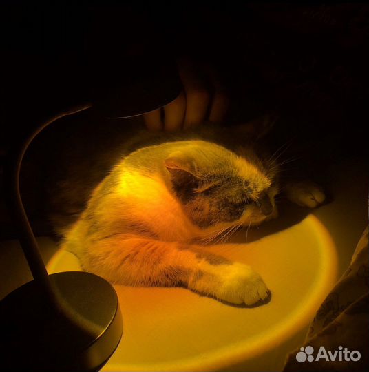 Лампа светодиодная закат USB ночник