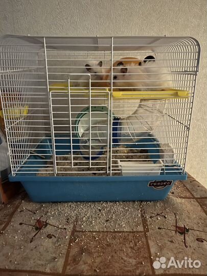 Клетка для грызунов