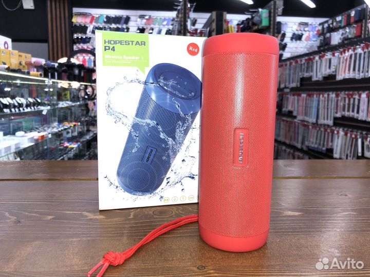 Колонка Hopestar P4