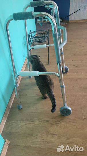 Ходунки для инвалидов на колесах