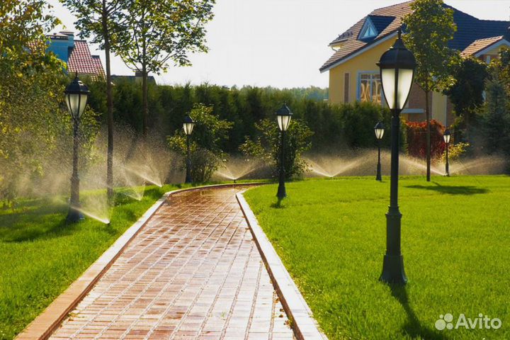 Семена газонной травы