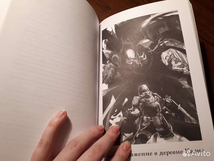 Книга/ранобэ 