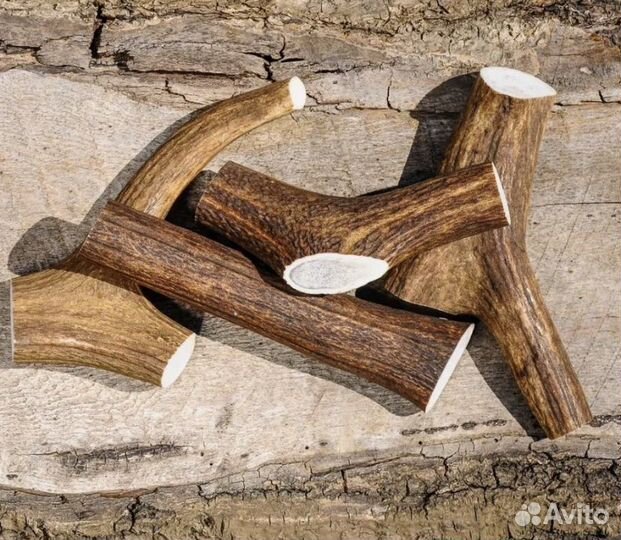 Лакомство для собак из рога лося