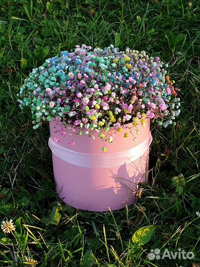 Букет в шляпной коробке из гипсофилы