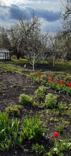 Участок 8,7 сот. (СНТ, ДНП)