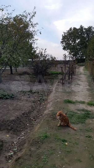 Дом 74 м² на участке 10 сот.