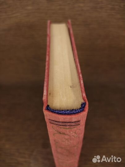 Э. Выгодская. Опасный ьеглец. Пламя гнева