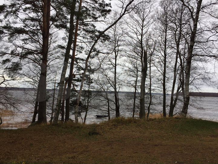 Участок 7,5 сот. (СНТ, ДНП)