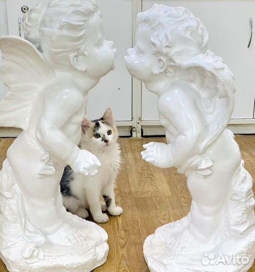 Малышка в добрые руки