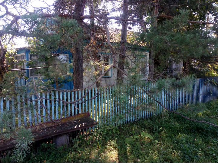 Дом 39,1 м² на участке 25 сот.