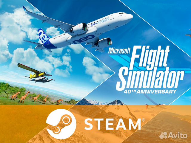 Microsoft Flight Simulator 2020 (Steam) купить в Москве | Электроника ...