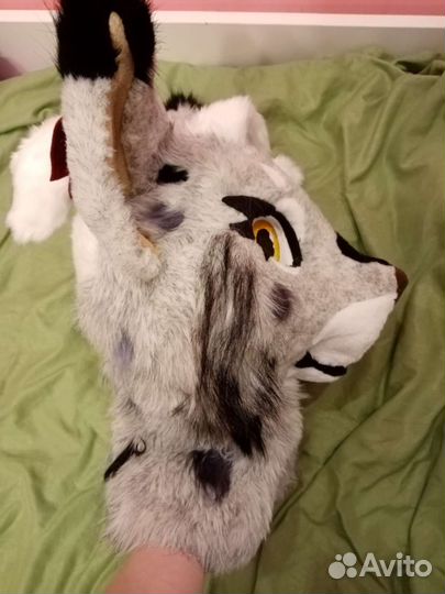 Фурсьют рыси