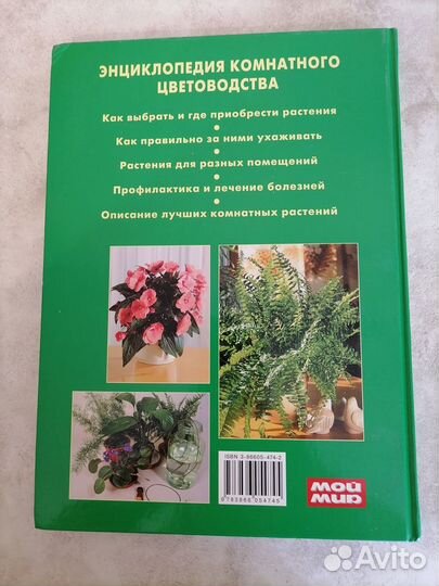 Комнатное цветоводство / комнатные растения