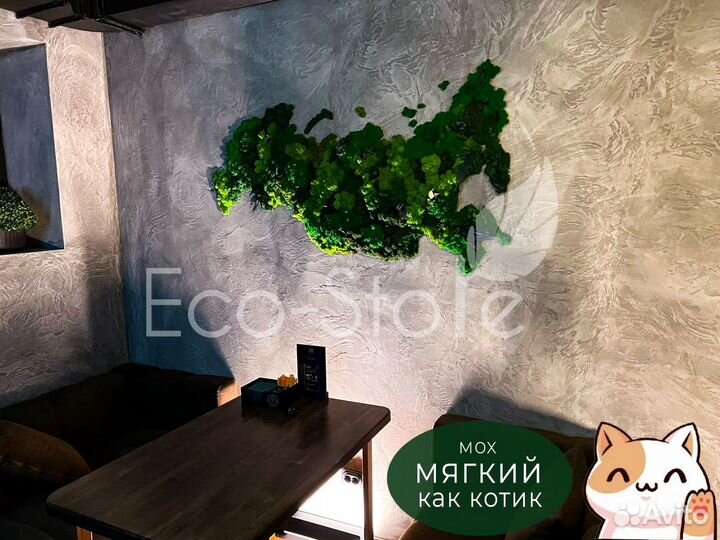 Карта мира со мхом в кафе