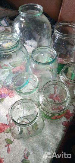 Облепиха. Луковица тюльпана. Б у банки. Калерия