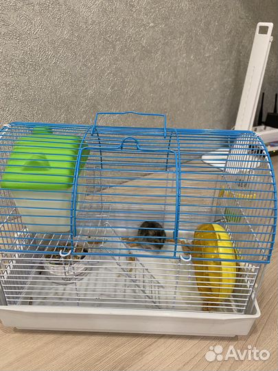 Клетка для грызунов и хомяк