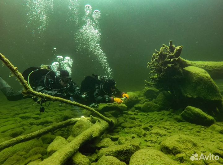 Тур путевка в горный Алтай на 7 нч. завтраки