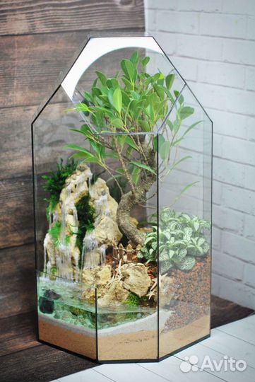 Флорариум с бонсай (баньян) и водопадом