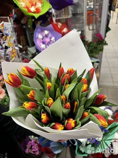 Тюльпаны на 8 марта