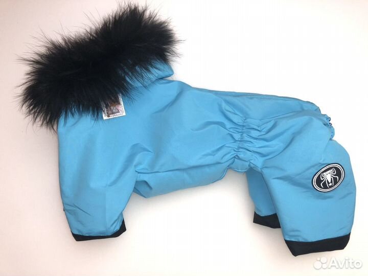 Одежда для животных