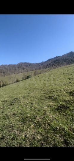 Участок 6,5 га (СНТ, ДНП)