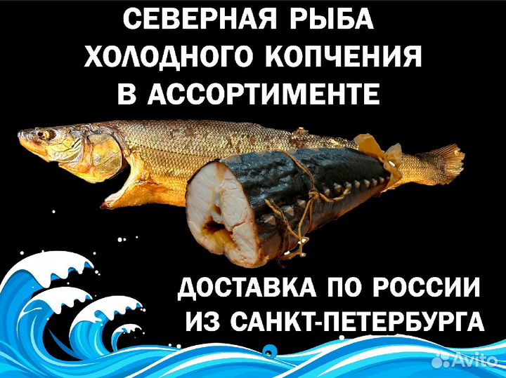 Рыба северная копчёная в ассортименте. Сдэк доста