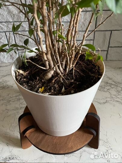 Подставка для цветов деревянная, регулируемая