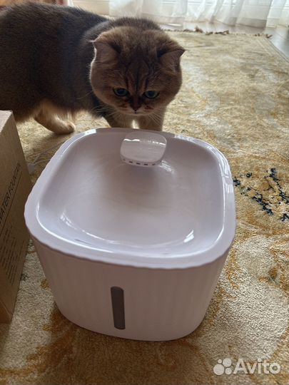 Автопоилка воды для кошки