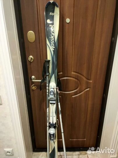 Горные лыжи