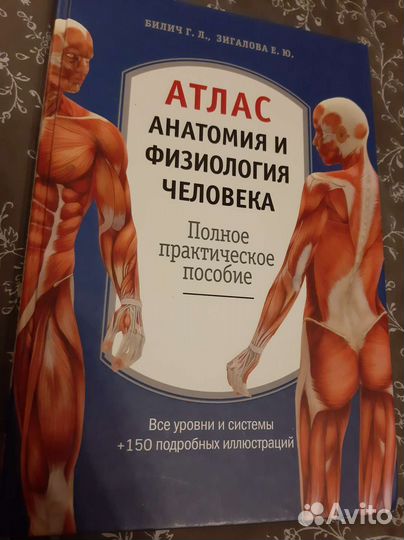 Атлас Анатомия и физиология человека