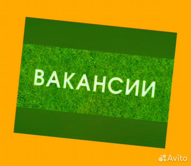 Сканировщик вахтой Жилье Хорошие условия М/Ж