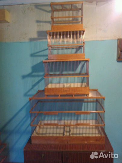 Клетка птиц