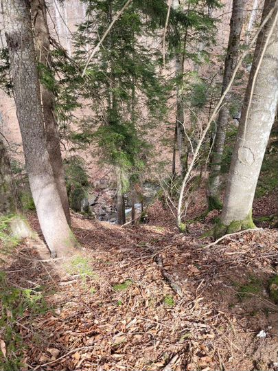 Участок 8 сот. (ИЖС)