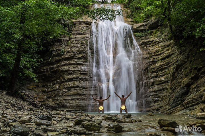 Лесные прогулки