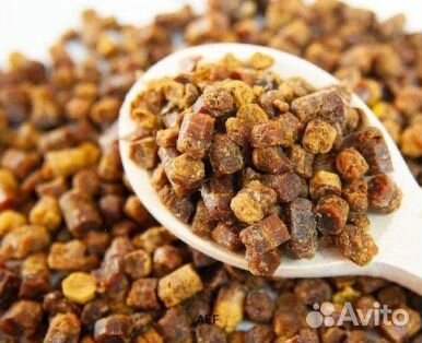 Перга пчелиная