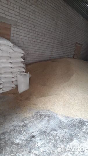 Корм для птиц