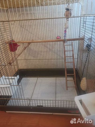 Большая клетка для птиц