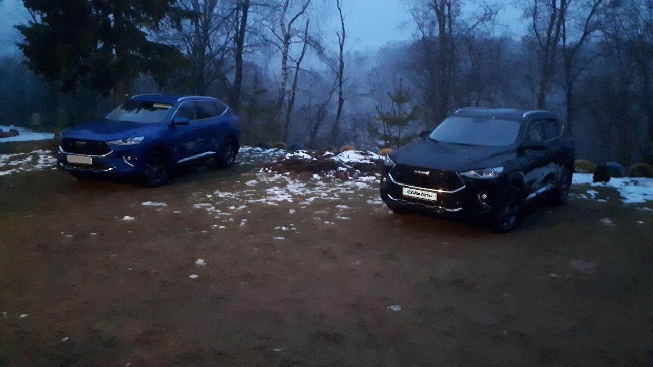 HAVAL F7: фото владельца