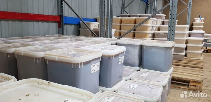 Мёд оптом рапсовый