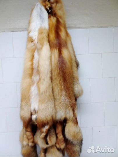 Шкуры лисы выделанные
