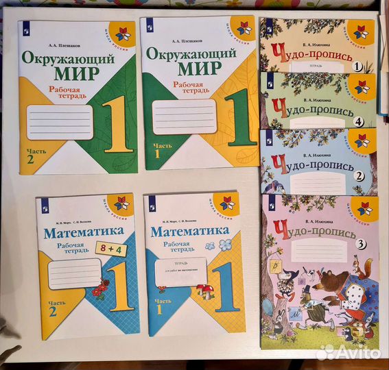 Тетради 1 класс Илюхина Плешаков Школа России