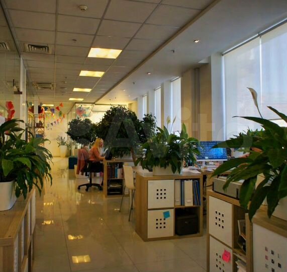 Офис 203 кв.м