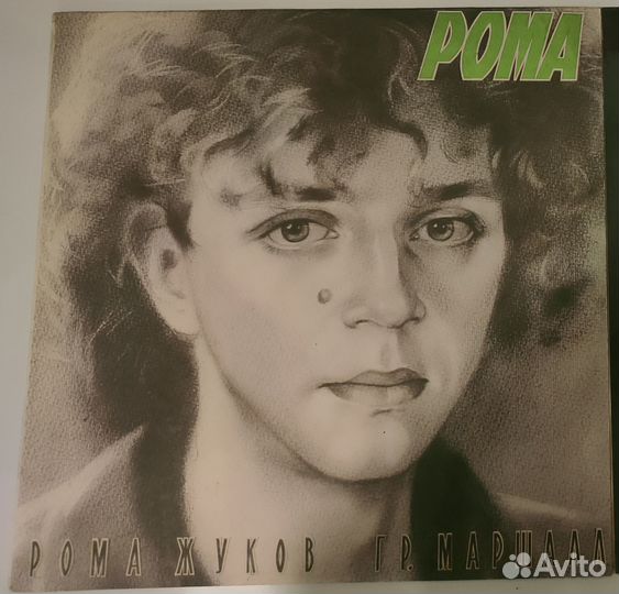 Рома Жуков, группа 