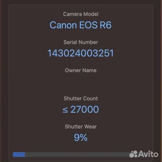 Canon EOS R6 Kit RF24-105mm f/4-7.1 IS STM