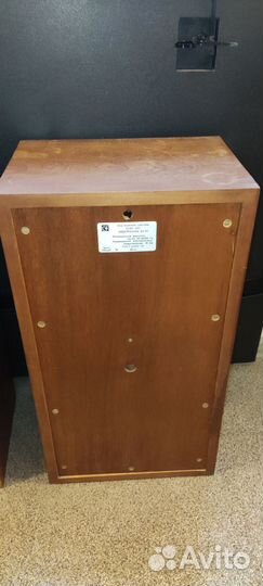 Колонки 25 ас-421 «Электроника Б1-01»